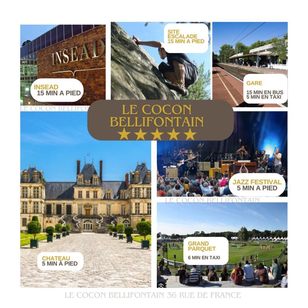 Le Cocon De Fontainebleau - Centre-Ville, Proche Insead & Chateau Exteriér fotografie