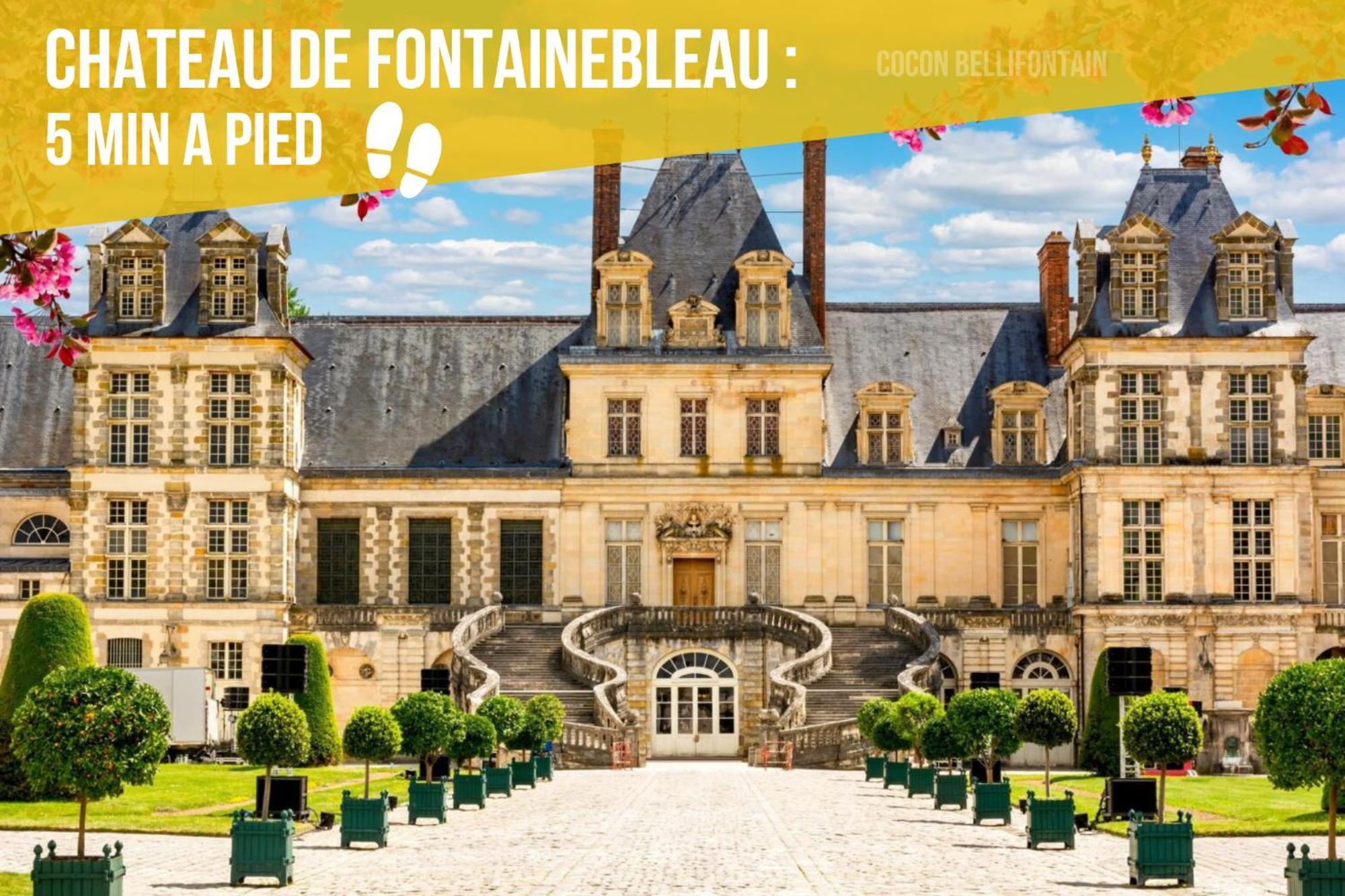 Le Cocon De Fontainebleau - Centre-Ville, Proche Insead & Chateau Exteriér fotografie